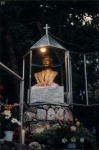 busto2.jpg